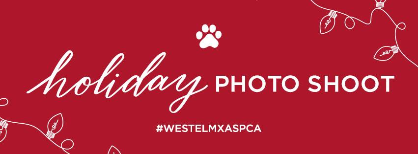 Furry Friends Holiday Photo Shoot for the ASPCA