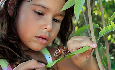 Das Aero-Theater präsentiert: Liebe deine Natur