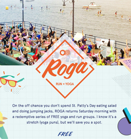 ROGA: Spring 2017
