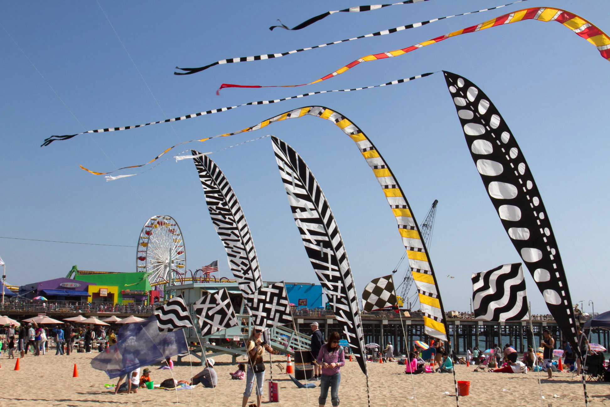 Annual Kite Festival