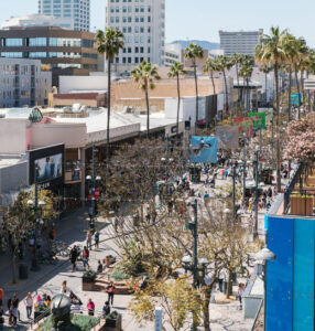 Unique Tours to Explore Santa Monica