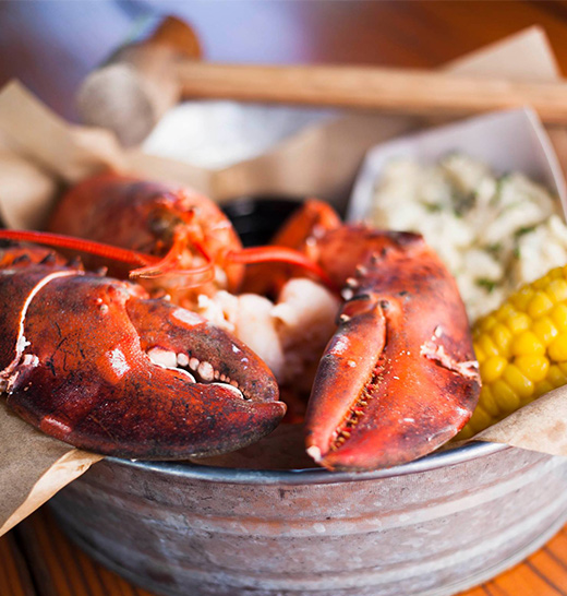 Santa Monica Seafood Restaurants Fresh Dining