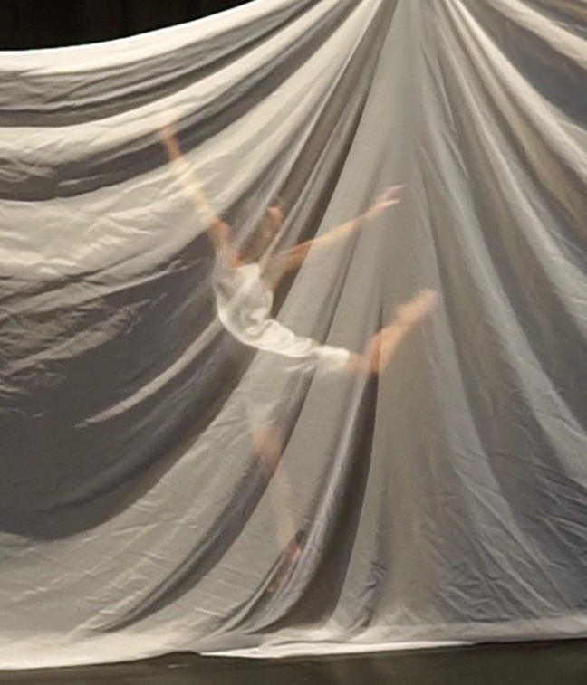 SOMAfest 11, Soamtic Movement Performance