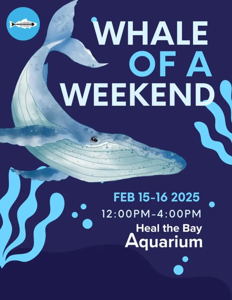 Whale of a Weekend