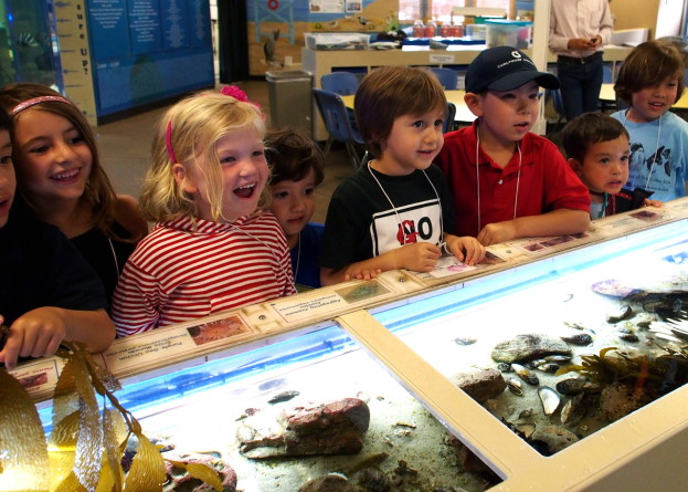 Earth Day Celebration at the Santa Monica Pier Aquarium