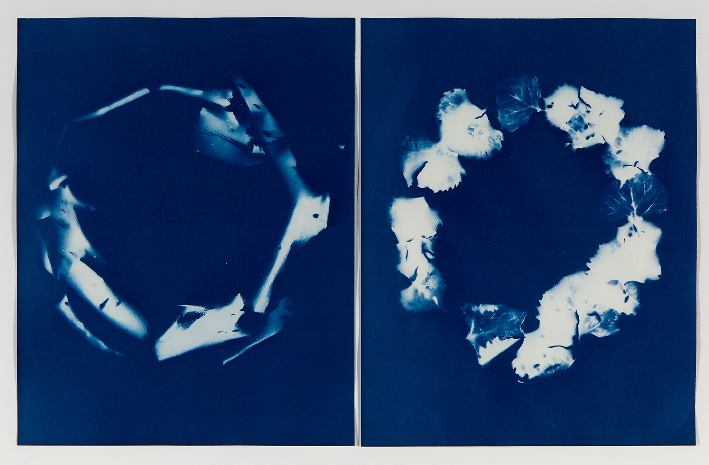 Lensed Cyanotypes with Brittany & Melissa