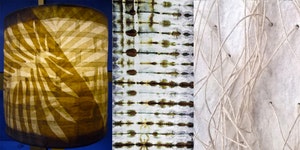 Debra Disman & Huong Nguyen: New Works