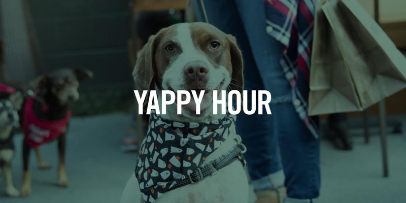 Yappy Hour at Ashland Hill (Santa Monica)