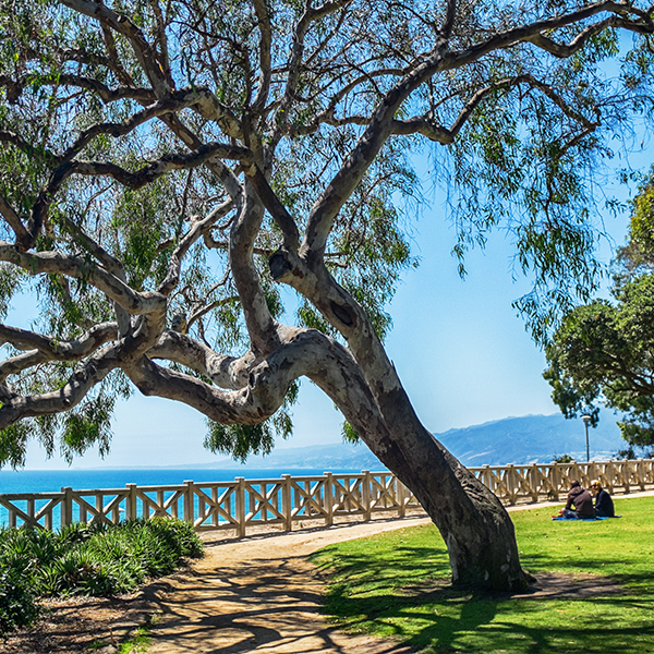 Palisades Park