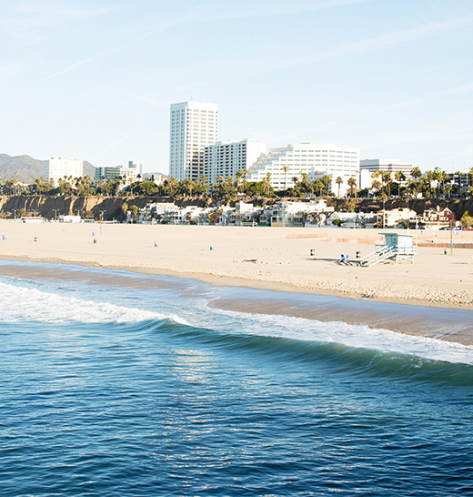 Voluntourism: 5 Ways to Give Back During Your Santa Monica Vacation ...