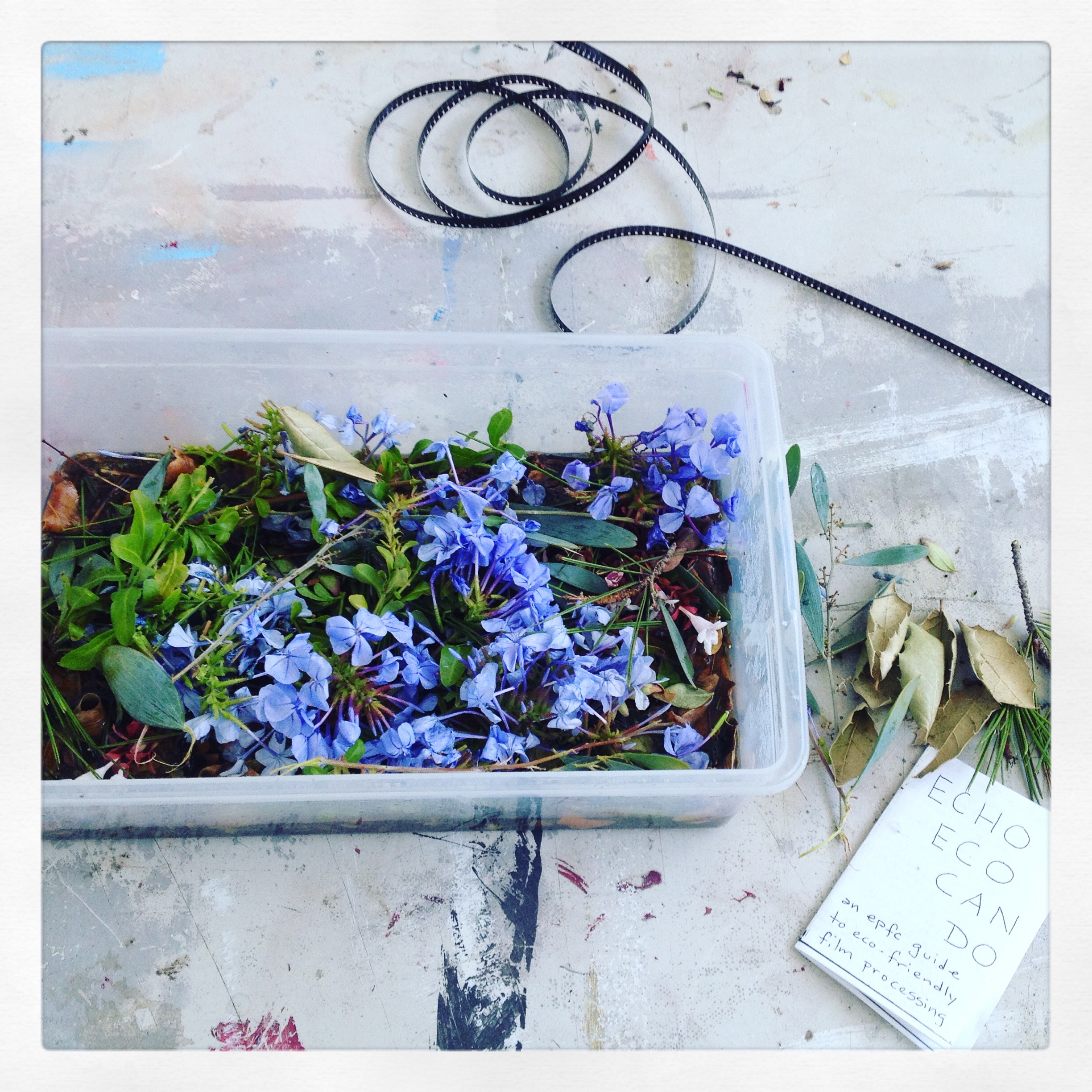 Super 8 and Eco-processing w Echo Park Film Center