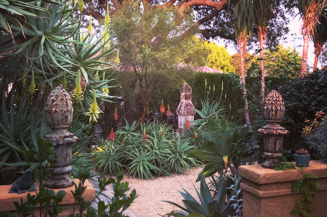 In the Pink - Autumn in a California Garden
