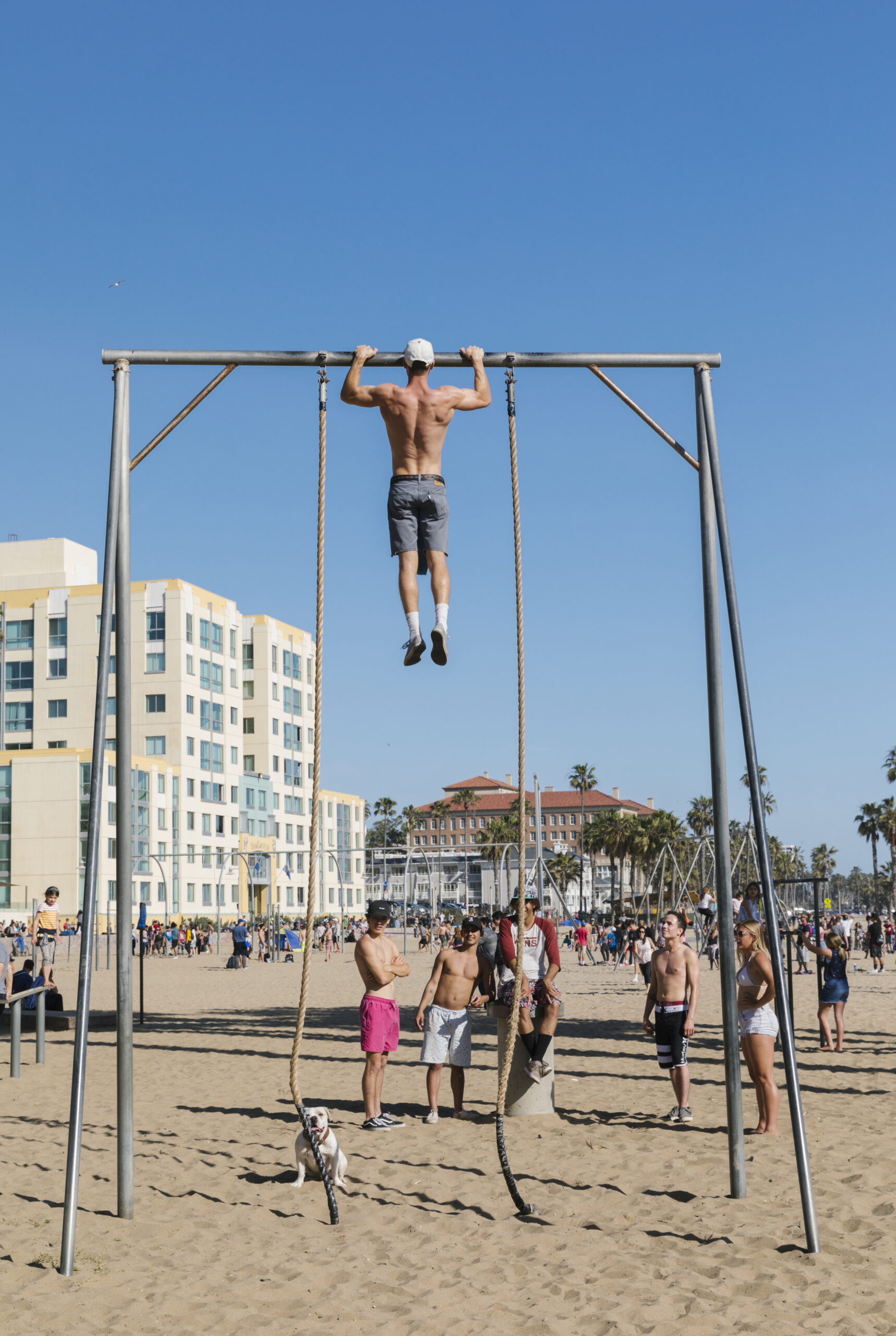 The Original Muscle Beach Santa Monica Muscle Beach California