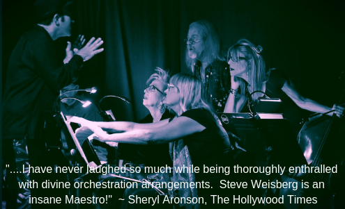 Steve Weisberg & His Orchestra