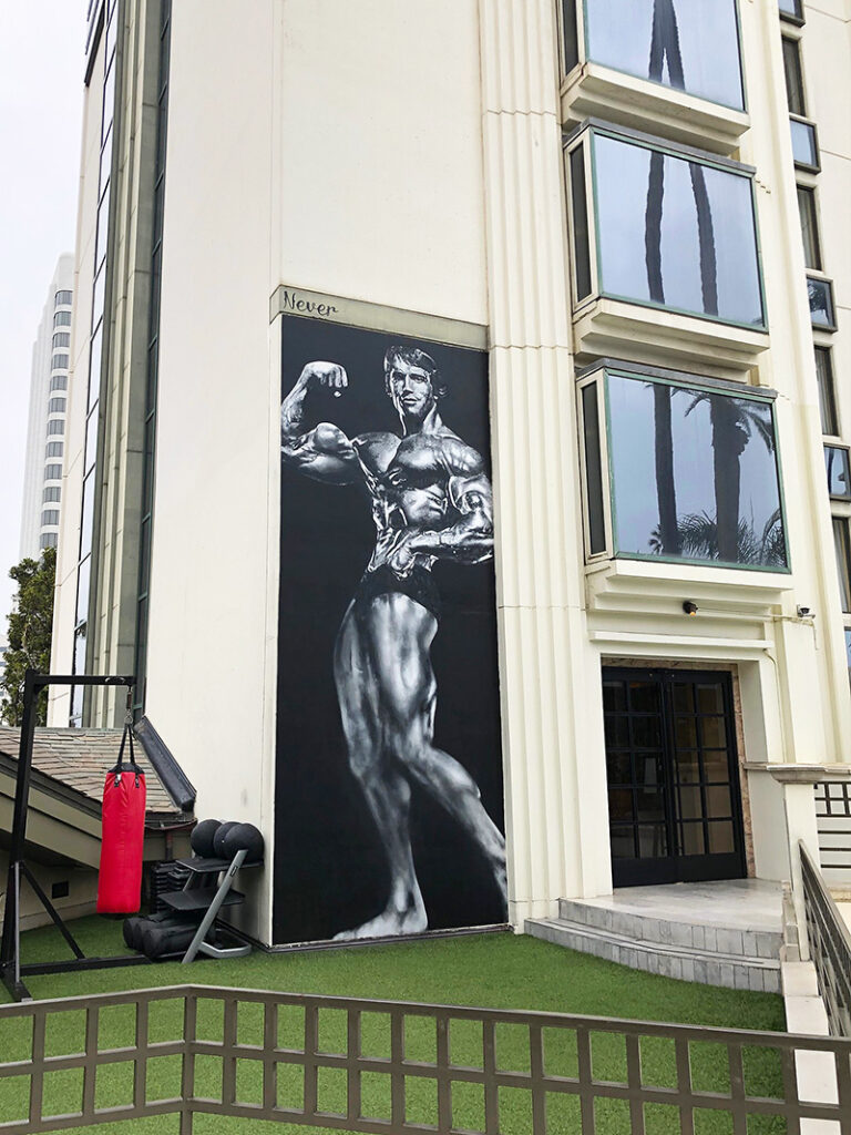 Mural of Arnold Schwarzenegger