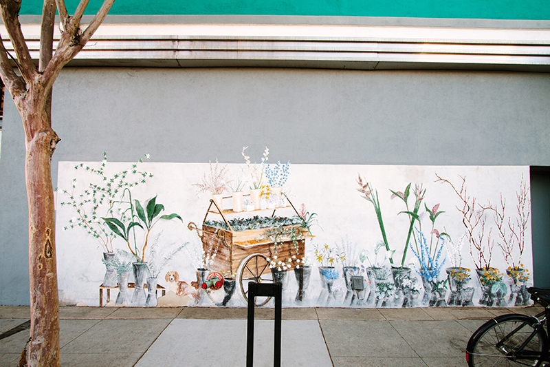 Potted plants mural