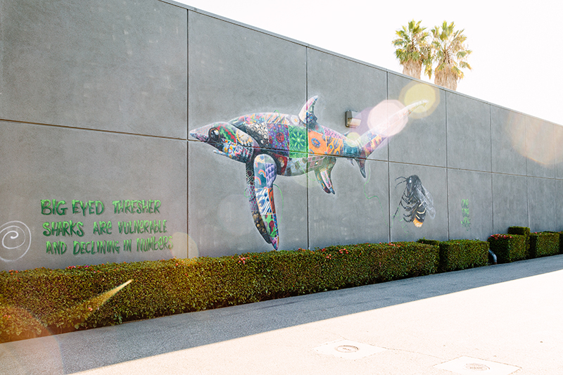 Mural of shark and bumble bee