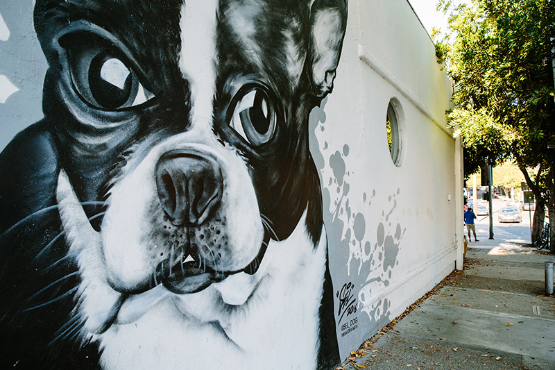 Terrier mural