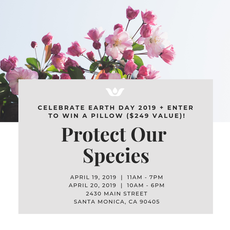 Celebrate Earth Day 2019 - Protect Our Species