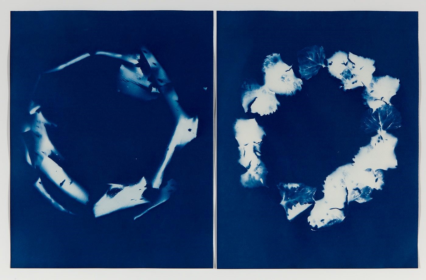 Body Scan Meditation and Sun Prints with Natalja Kent