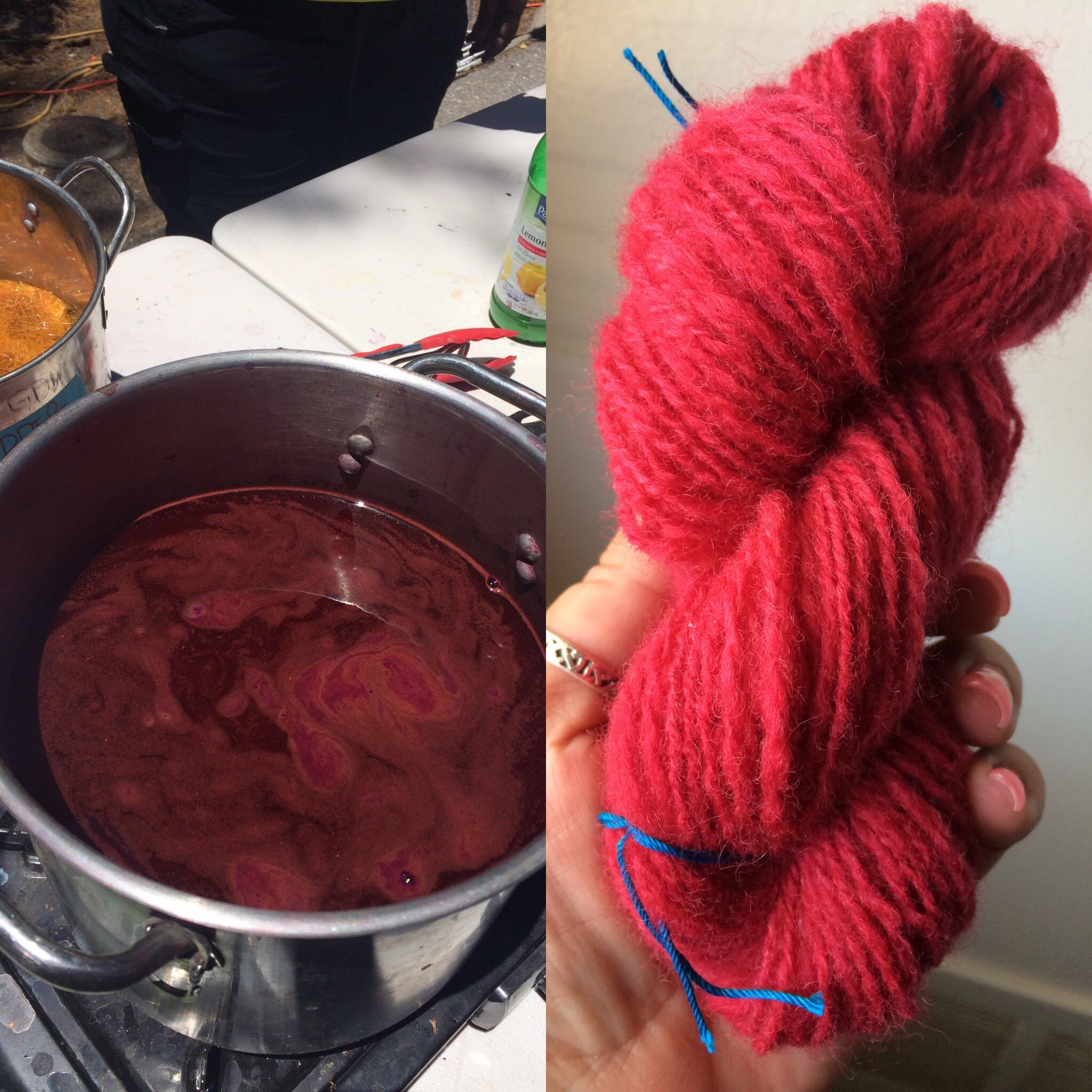 Intro to Natural Textile Dyeing with Griffin Dyeworks
