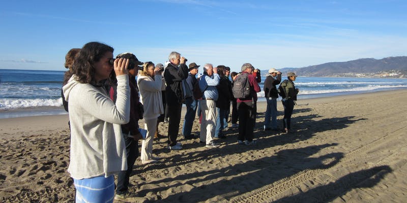 Snowy Plover Beach Walk at Annenberg Community Beach House