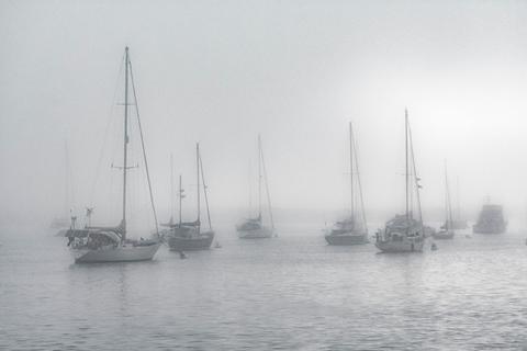 Grayscale Wonderland 4