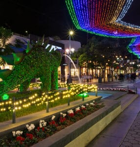 Seaside Santa Monica shines bright with festive  lights, joyful activities and lively events for the holiday season