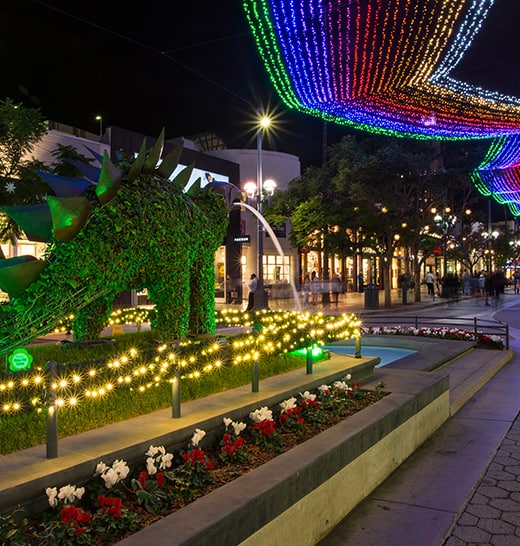 Seaside Santa Monica shines bright with festive lights, joyful
