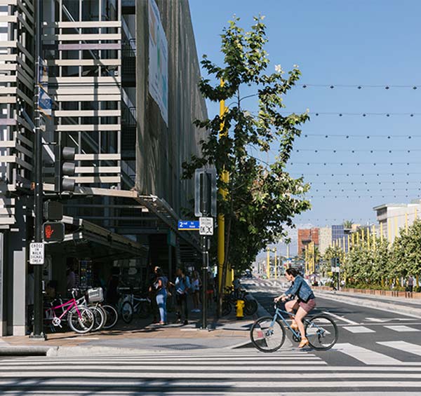 bike-center-santa-monica-paradise