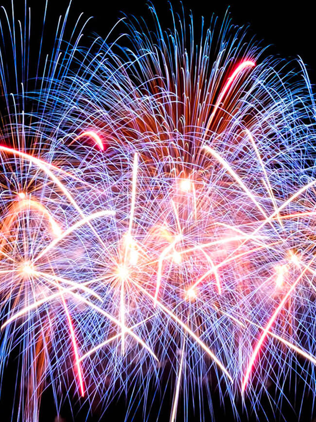 Fourth of July Visit Santa Monica