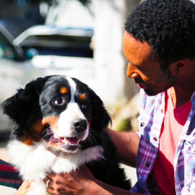 pet friendly