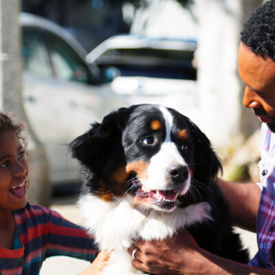 pet friendly santa monica