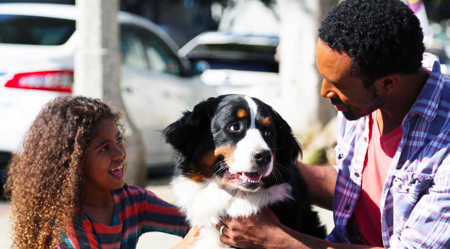 Dog Friendly Hotels Santa Monica Pet Friendly Hotels Los Angeles