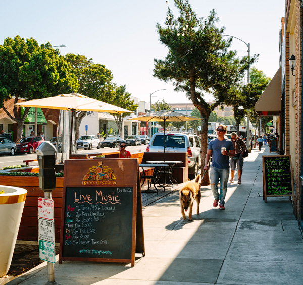 pet friendly things to do