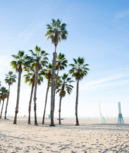 request royalty free photos santa monica