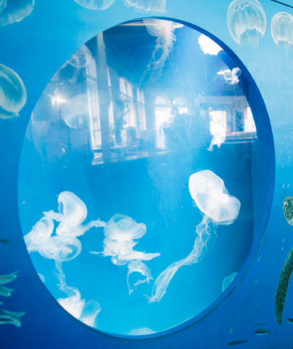 santa monica aquarium