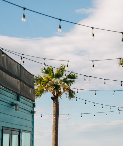 santa monica testimonials