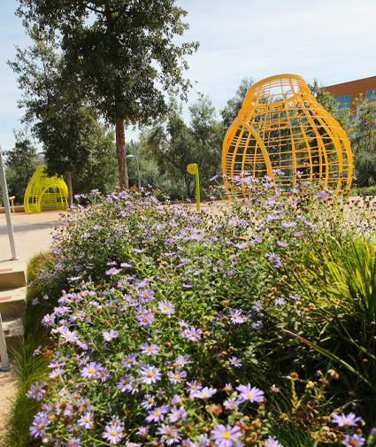 tongva park santa monica