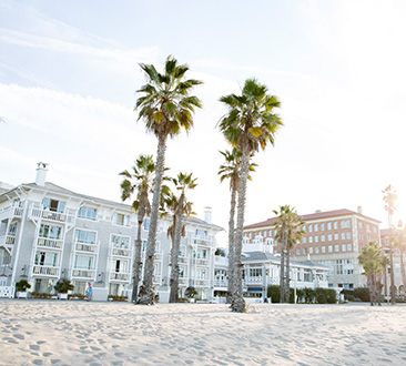 Two hotels side by side on the beach with palm trees