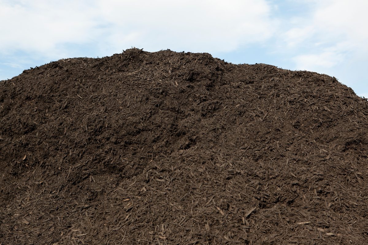 Pile 2 patio, mulch/compost sculpture