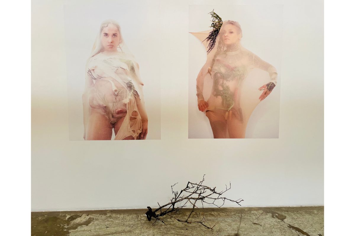Mining Peace in a Troubled World and How Artists Survive