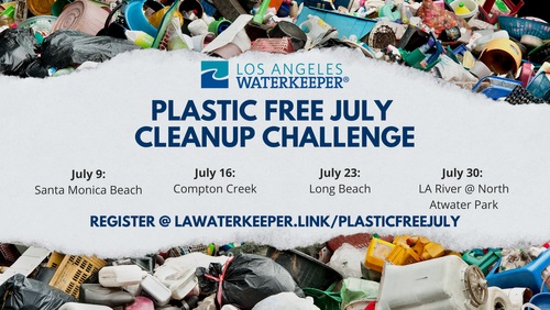 Plastic Free July Cleanup Challenge 2022