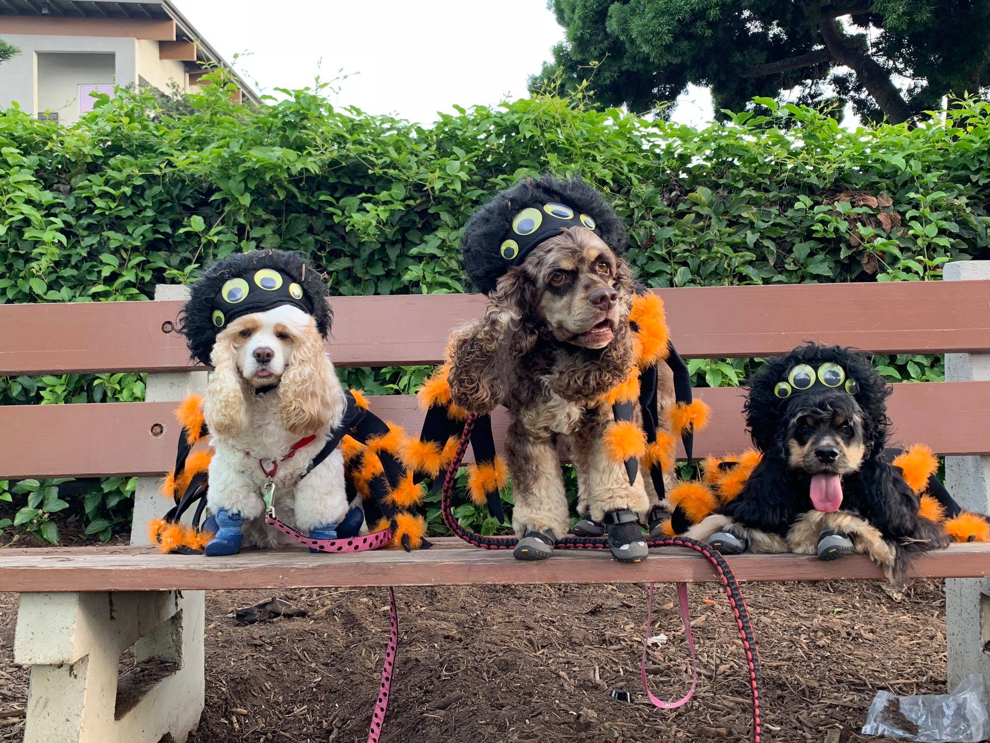 Main Street Howl-o-Ween