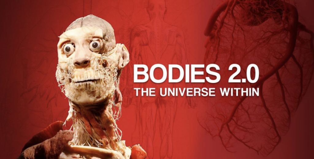 Bodies 2.0: The Universe Within