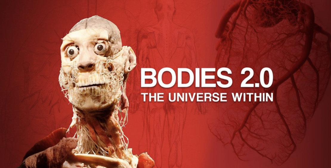 Bodies 2.0: The Universe Within