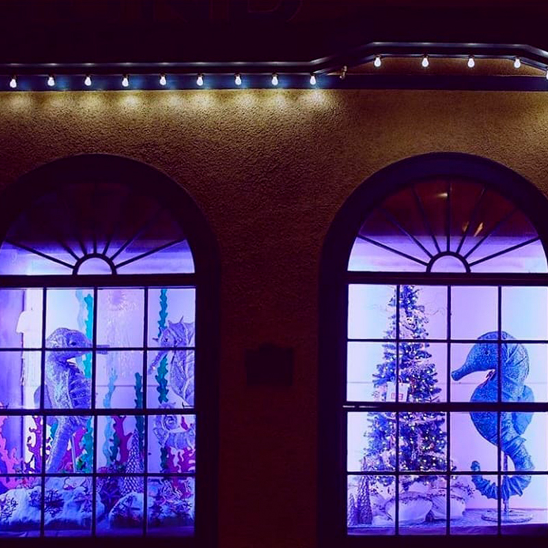 WINDOWS OF ENCHANTMENT
