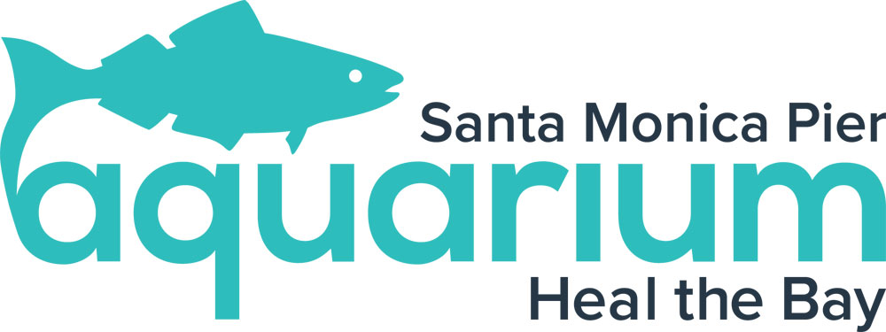 Life Aquatic: Ocean Dwellers and StoryTellers