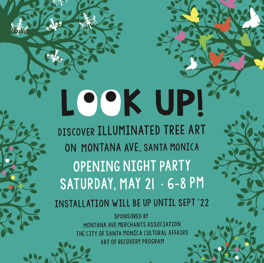 Look Up! - Montana Ave. Illuminated Opening Night