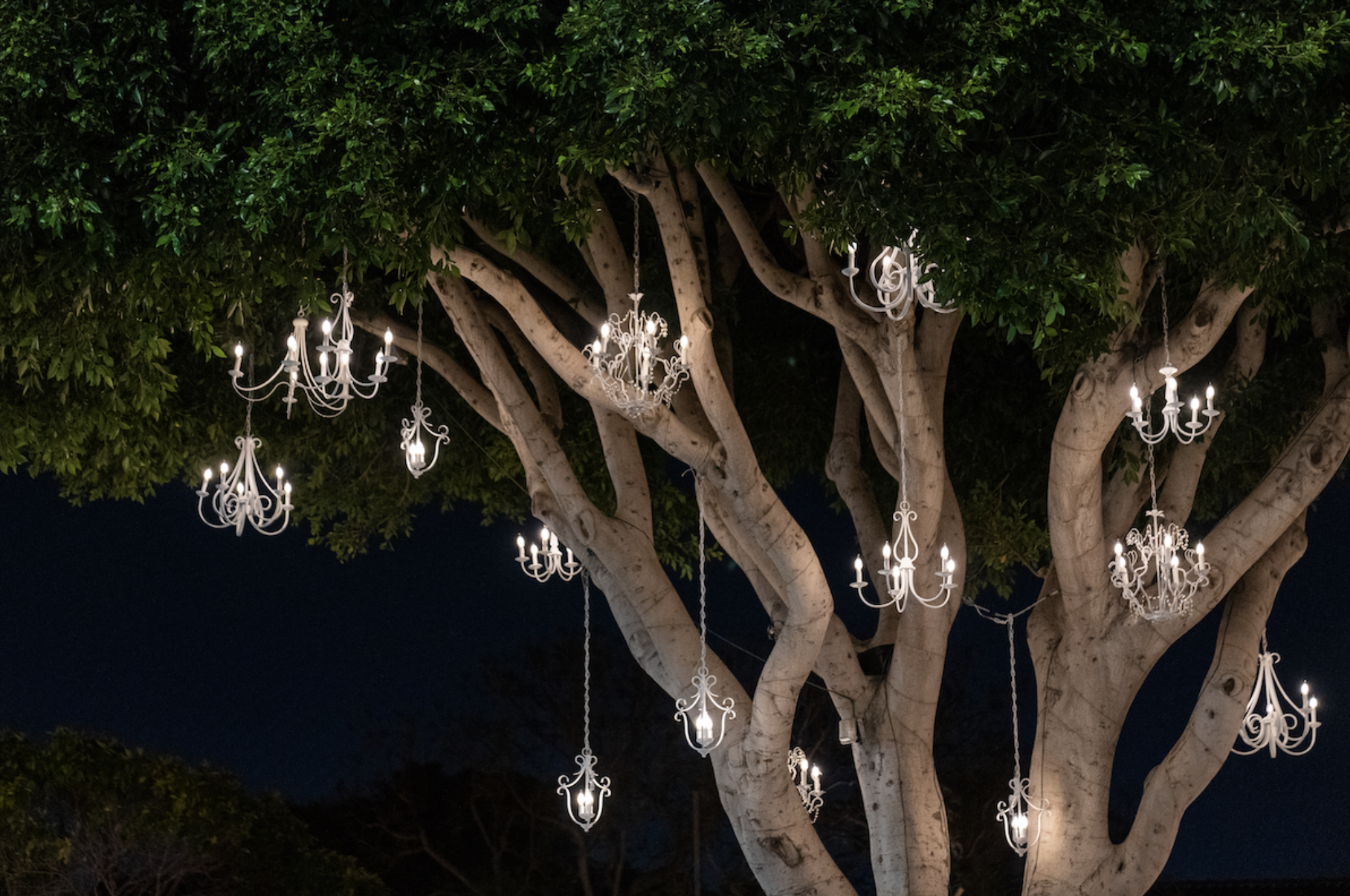 Montana Avenue Illuminated